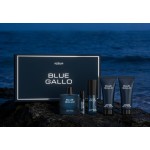 BLUE GALLO Men Perfume 100ml, Woody Aromatic Eau De Toilette